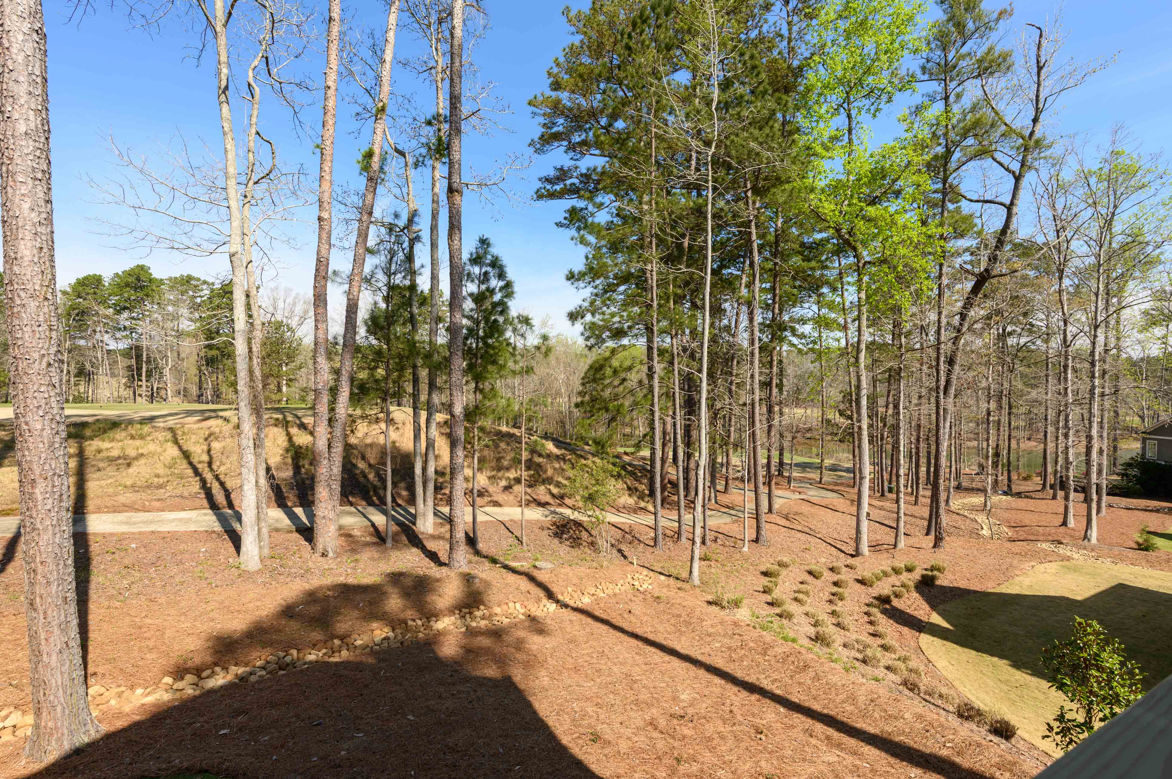 1100 Curtright Place image 30